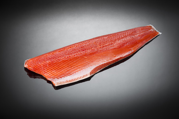 Wilde sockeye